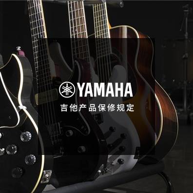 吉他、贝斯和音箱