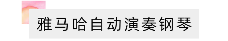 活动报道 | 远程艺术教育大师课活动—优胜客艺术家赵宇大师课