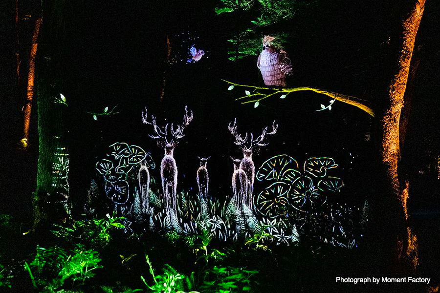 案例｜优胜客为壮观的Kamuy Lumina魔法夜行旅游项目提供配乐设备