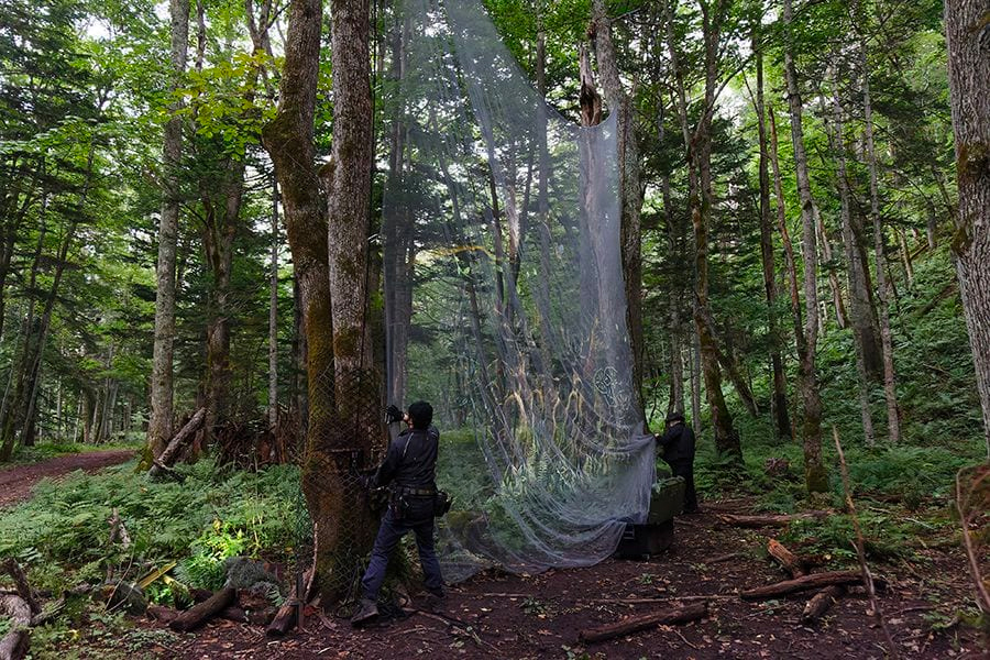 案例｜优胜客为壮观的Kamuy Lumina魔法夜行旅游项目提供配乐设备
